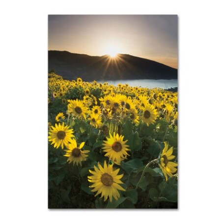 Trademark Fine Art Alan Majchrowicz 'Columbia River Gorge Sunrise' Canvas Art, 12x19 WAP01956-C1219GG